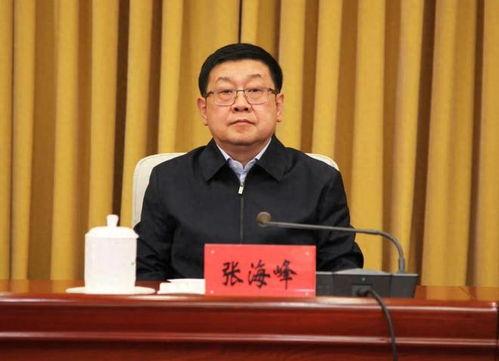 张海峰考研个人资料,砥砺前行，梦想起航